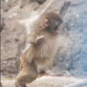 ヒメ日記 2026/05/02 09:42 投稿 うる お姉京都