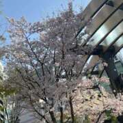 ヒメ日記 2026/04/04 16:45 投稿 まどか 池袋夢幻