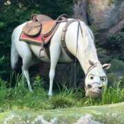 ヒメ日記 2025/08/16 21:19 投稿 さえ 神栖レッドダイヤ