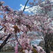 ヒメ日記 2025/05/13 12:18 投稿 風間かれん 宝石箱(すすきの)