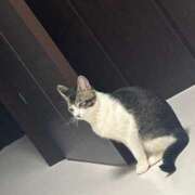 ヒメ日記 2025/06/06 21:48 投稿 風間かれん 宝石箱(すすきの)