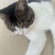 ヒメ日記 2025/06/08 11:48 投稿 風間かれん 宝石箱(すすきの)