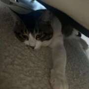 ヒメ日記 2025/06/15 09:18 投稿 風間かれん 宝石箱(すすきの)