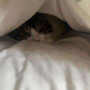 ヒメ日記 2025/06/16 20:33 投稿 風間かれん 宝石箱(すすきの)