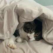 ヒメ日記 2025/06/18 23:57 投稿 風間かれん 宝石箱(すすきの)