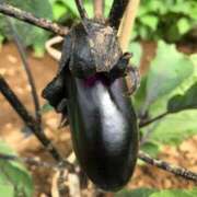 ヒメ日記 2025/06/12 15:43 投稿 るる 錦糸町人妻花壇