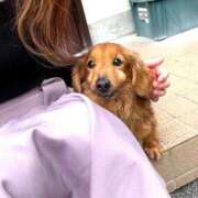 ヒメ日記 2025/04/16 10:04 投稿 りりか コートダジュール