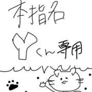 ヒメ日記 2025/08/10 08:27 投稿 りりか コートダジュール