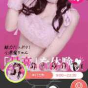 ヒメ日記 2025/09/20 08:18 投稿 りりか コートダジュール