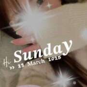 ヒメ日記 2025/03/23 06:57 投稿 心(こころ) 八王子人妻城