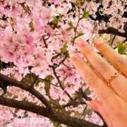 ヒメ日記 2025/03/26 10:33 投稿 心(こころ) 八王子人妻城