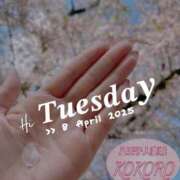 ヒメ日記 2025/04/08 07:03 投稿 心(こころ) 八王子人妻城