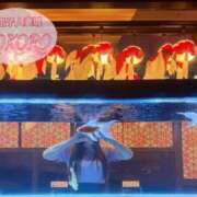 ヒメ日記 2025/09/09 20:12 投稿 心(こころ) 八王子人妻城