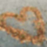 ヒメ日記 2025/09/19 12:22 投稿 心(こころ) 八王子人妻城