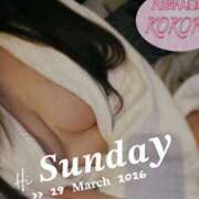 ヒメ日記 2026/03/29 06:12 投稿 心(こころ) 八王子人妻城