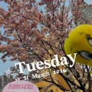 ヒメ日記 2026/03/31 05:57 投稿 心(こころ) 八王子人妻城