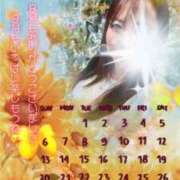 ヒメ日記 2026/09/01 05:59 投稿 心(こころ) 八王子人妻城