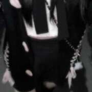 めるる【癒し系激カワ細身美女】 3/3 90分のお兄様🫶🏻 STELLA TOKYO－ステラトウキョウ－