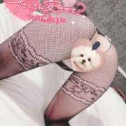 ヒメ日記 2025/07/21 20:41 投稿 ありす 水戸ソープランド　水戸スリーナイン(9990)