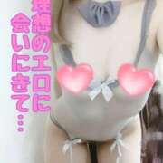 ヒメ日記 2026/02/21 10:17 投稿 ありす 水戸ソープランド　水戸スリーナイン(9990)