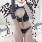 ヒメ日記 2026/03/31 12:51 投稿 ありす 水戸ソープランド　水戸スリーナイン(9990)