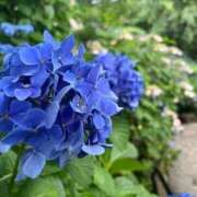 ヒメ日記 2025/10/24 08:01 投稿 よる 水戸ソープランド　水戸スリーナイン(9990)