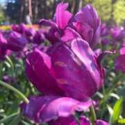 ヒメ日記 2025/10/31 08:11 投稿 よる 水戸ソープランド　水戸スリーナイン(9990)