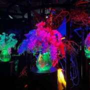 ヒメ日記 2025/11/01 08:21 投稿 よる 水戸ソープランド　水戸スリーナイン(9990)