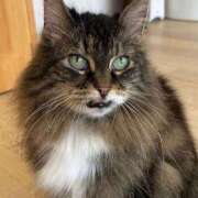 ヒメ日記 2025/11/01 16:06 投稿 よる 水戸ソープランド　水戸スリーナイン(9990)