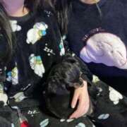 ヒメ日記 2026/01/11 12:41 投稿 よる 水戸ソープランド　水戸スリーナイン(9990)