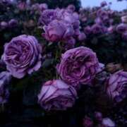 ヒメ日記 2026/03/27 08:21 投稿 よる 水戸ソープランド　水戸スリーナイン(9990)