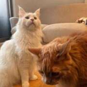 ヒメ日記 2026/03/27 09:11 投稿 よる 水戸ソープランド　水戸スリーナイン(9990)