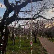 ヒメ日記 2026/03/28 08:11 投稿 よる 水戸ソープランド　水戸スリーナイン(9990)