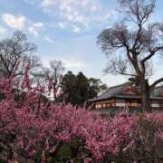 ヒメ日記 2026/03/29 08:21 投稿 よる 水戸ソープランド　水戸スリーナイン(9990)