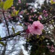 ヒメ日記 2026/04/01 08:21 投稿 よる 水戸ソープランド　水戸スリーナイン(9990)