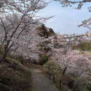 ヒメ日記 2026/04/03 08:21 投稿 よる 水戸ソープランド　水戸スリーナイン(9990)