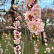 ヒメ日記 2026/04/04 08:11 投稿 よる 水戸ソープランド　水戸スリーナイン(9990)