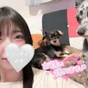 ヒメ日記 2026/03/11 12:51 投稿 きき 水戸ソープランド　水戸スリーナイン(9990)