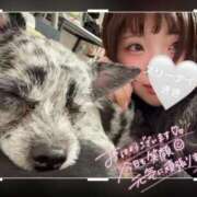 ヒメ日記 2026/03/18 12:11 投稿 きき 水戸ソープランド　水戸スリーナイン(9990)