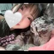 ヒメ日記 2026/04/20 14:01 投稿 きき 水戸ソープランド　水戸スリーナイン(9990)