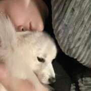 ヒメ日記 2025/02/07 15:52 投稿 まお 君とふわふわプリンセスin立川