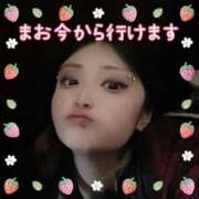 ヒメ日記 2025/02/08 00:22 投稿 まお 君とふわふわプリンセスin立川