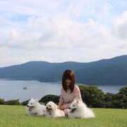 ヒメ日記 2025/02/08 00:30 投稿 まお 君とふわふわプリンセスin立川