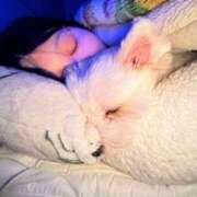 ヒメ日記 2025/02/14 15:42 投稿 まお 君とふわふわプリンセスin立川