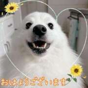 まお 18時出勤🗼🩷 君とふわふわプリンセスin立川