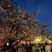 ヒメ日記 2025/04/12 21:05 投稿 ゆめな ドキドキＮＴＲ寝取られ生電話