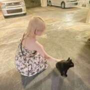 ヒメ日記 2025/07/10 08:15 投稿 ゆめ ていくぷらいど.学園