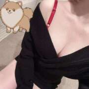 ヒメ日記 2026/02/19 02:55 投稿 ゆめ ていくぷらいど.学園