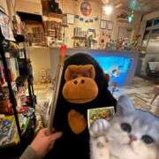 ヒメ日記 2026/03/20 00:28 投稿 ゆめ ていくぷらいど.学園