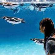 ヒメ日記 2025/06/22 19:49 投稿 唐沢　杏奈 イラマチーオ新宿店